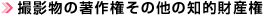 撮影物の著作権その他の知的財産権